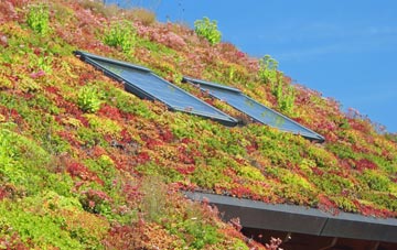Lexden living roof systems